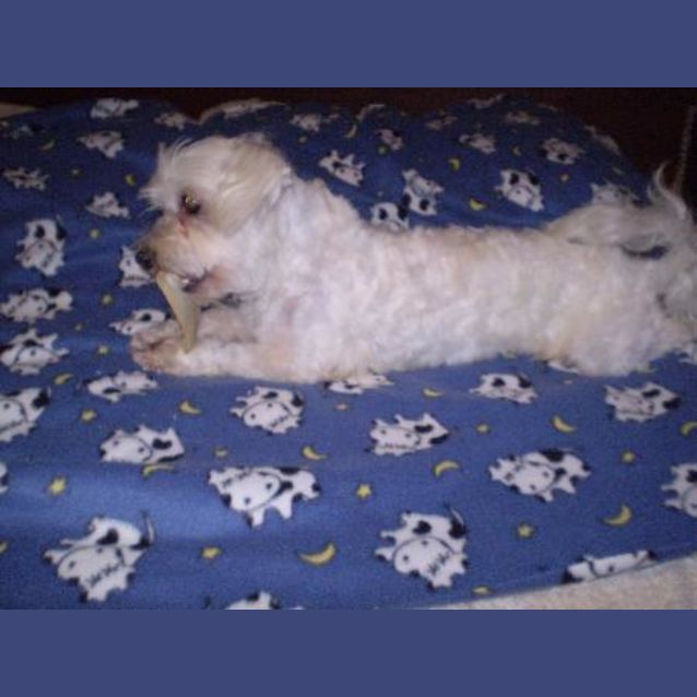 Photo of Monty