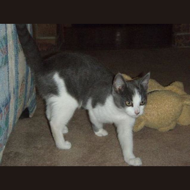 Photo of Jasmine
