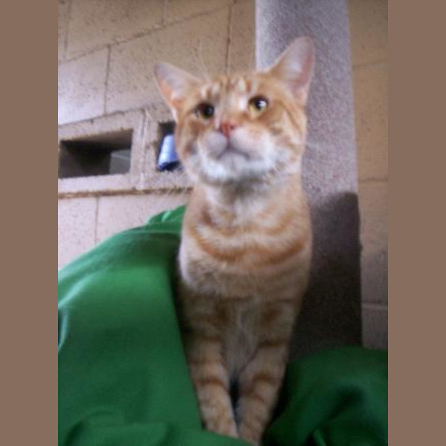 Photo of Rhubarb