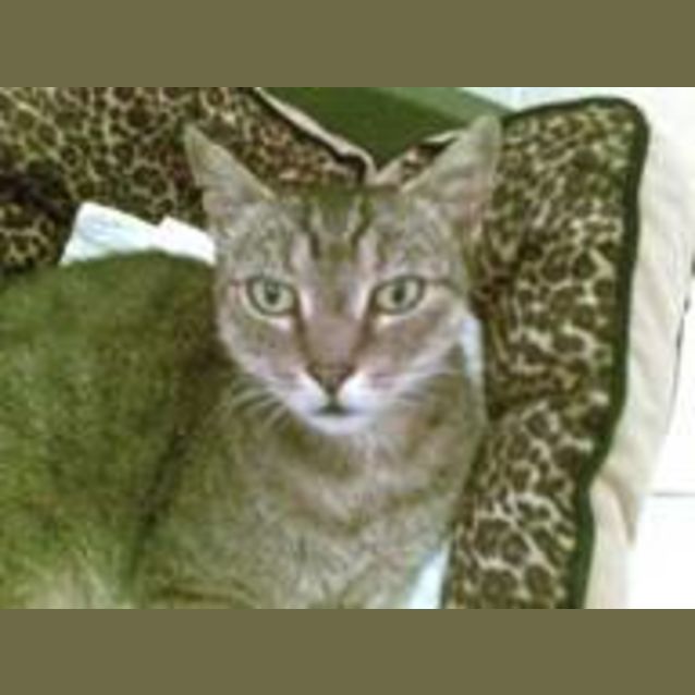 Photo of Charlie