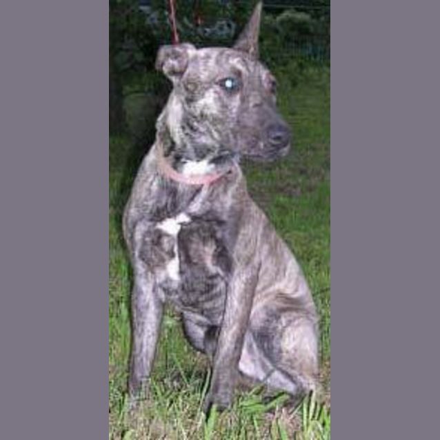 Photo of Belle