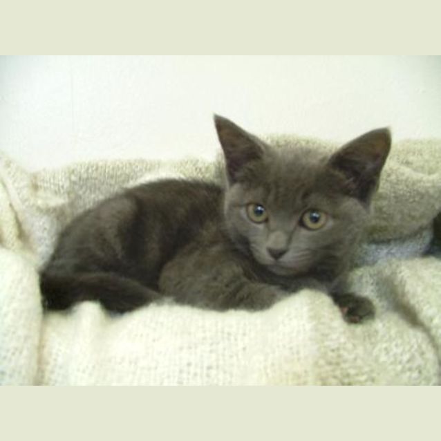 Photo of Betty