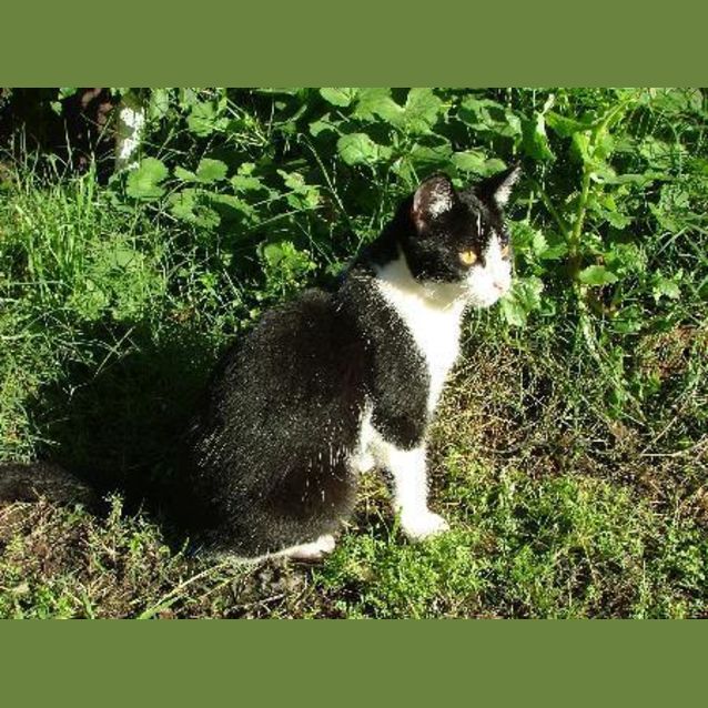 Photo of Cindy Pawford