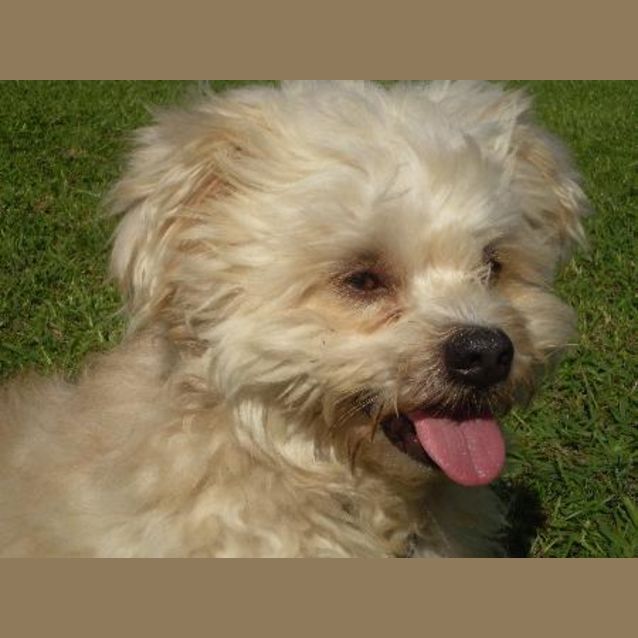Photo of Benny