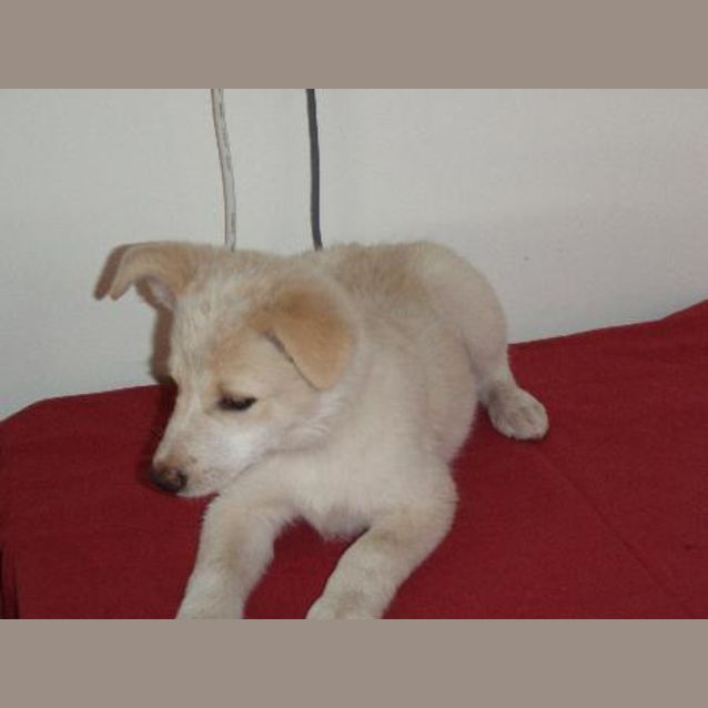 Photo of Tully