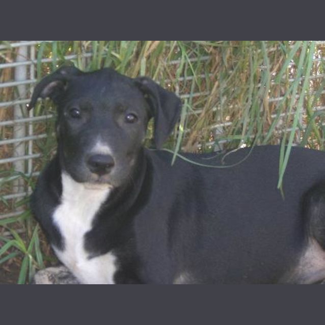 Photo of Tyra Is On Hold