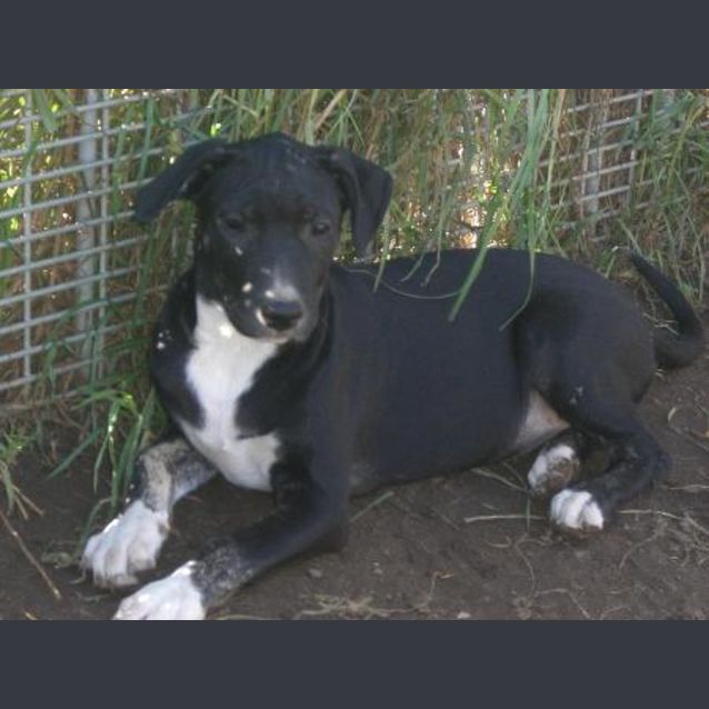 Photo of Tyra Is On Hold