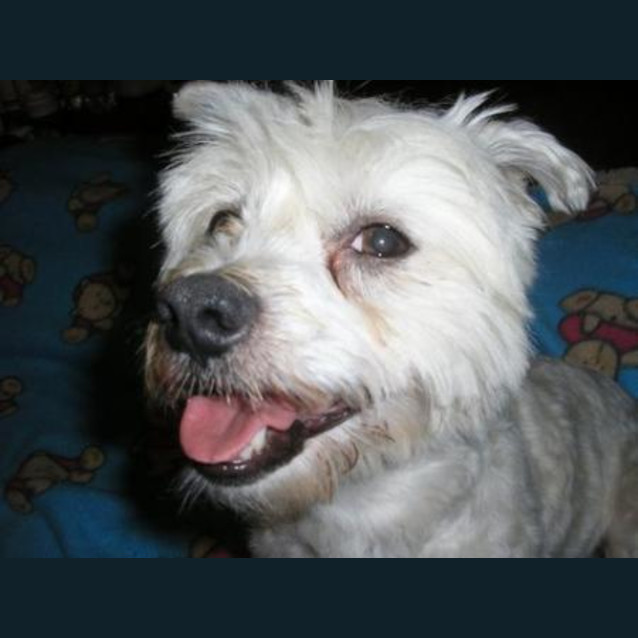 Photo of Billy