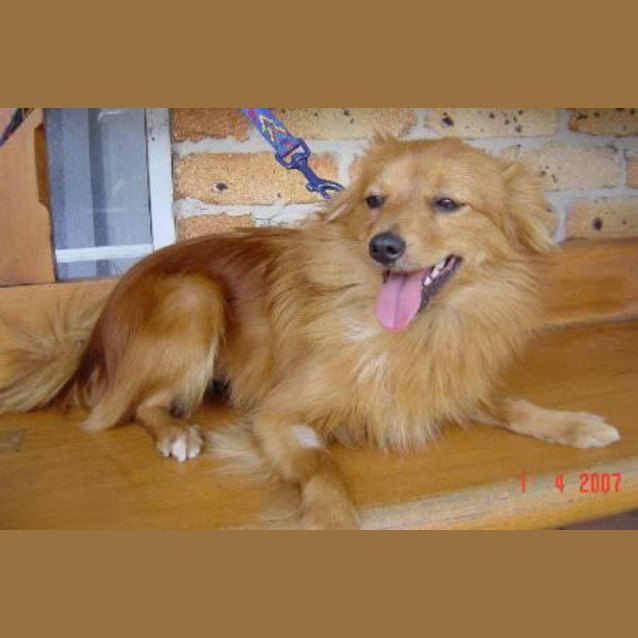 Photo of Eva