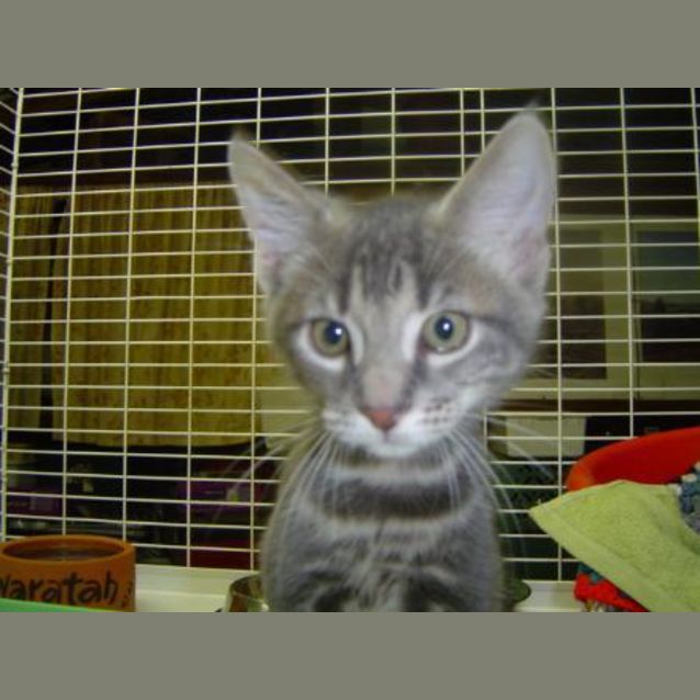 Photo of Malachi