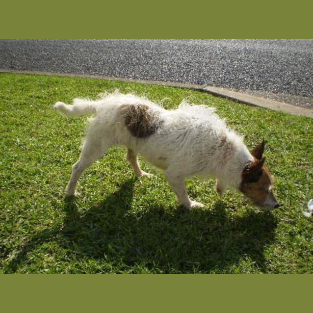 Photo of Maggie