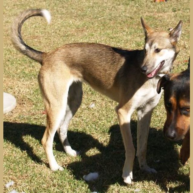 Photo of Allie