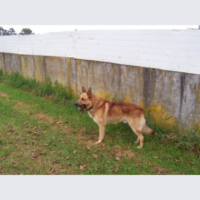 Photo of Jack