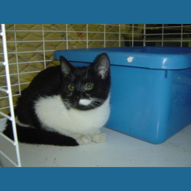 Photo of Tammy