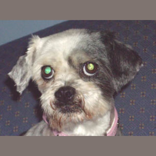 Photo of Kayla