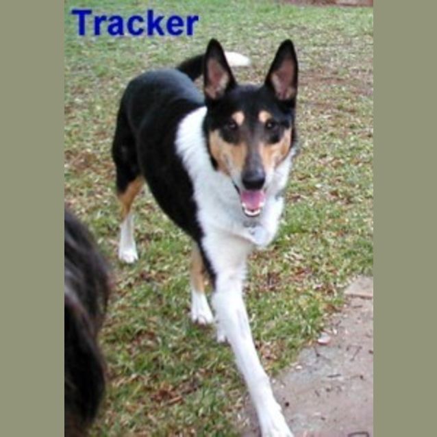 Photo of Tracker