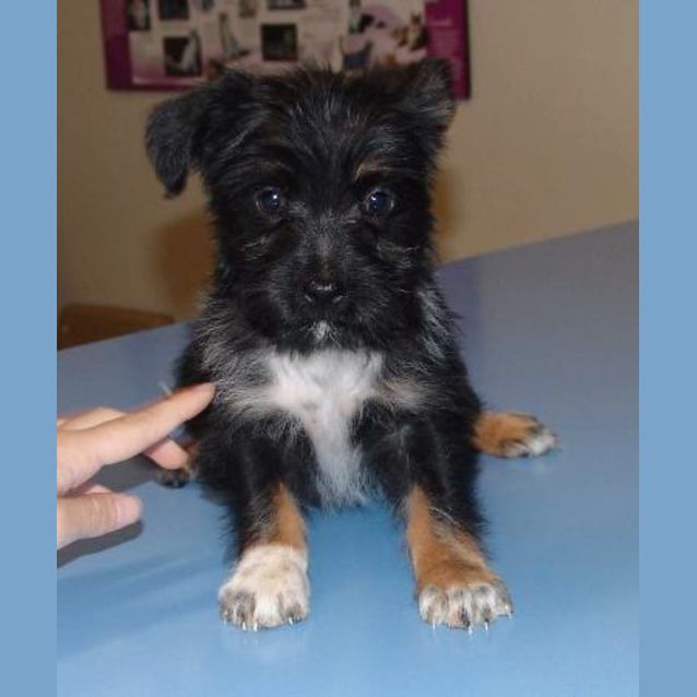 Photo of Heidi