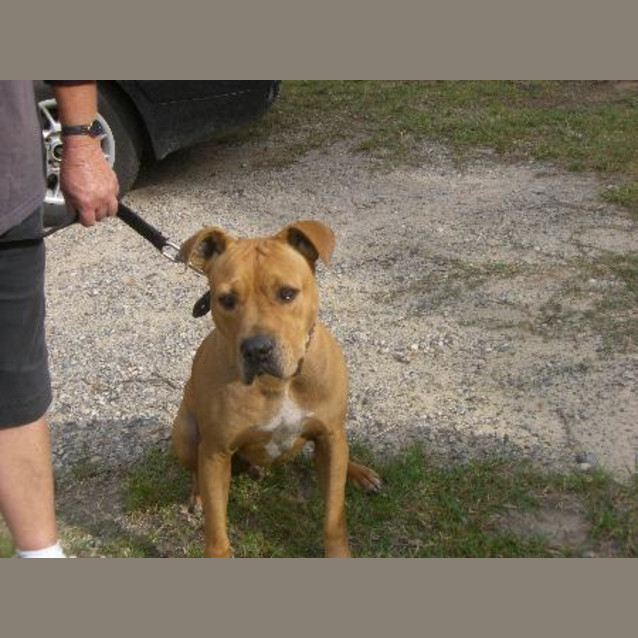 Photo of "Urgent" Conan