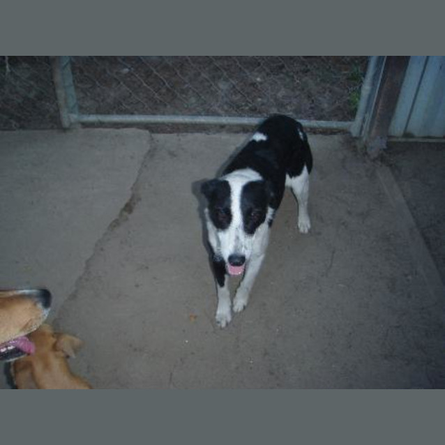 Photo of Penny