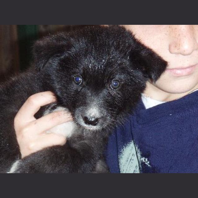 Photo of Brooke