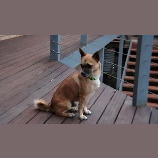 Photo of Taco