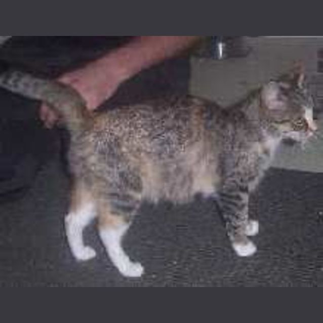 Photo of Helga