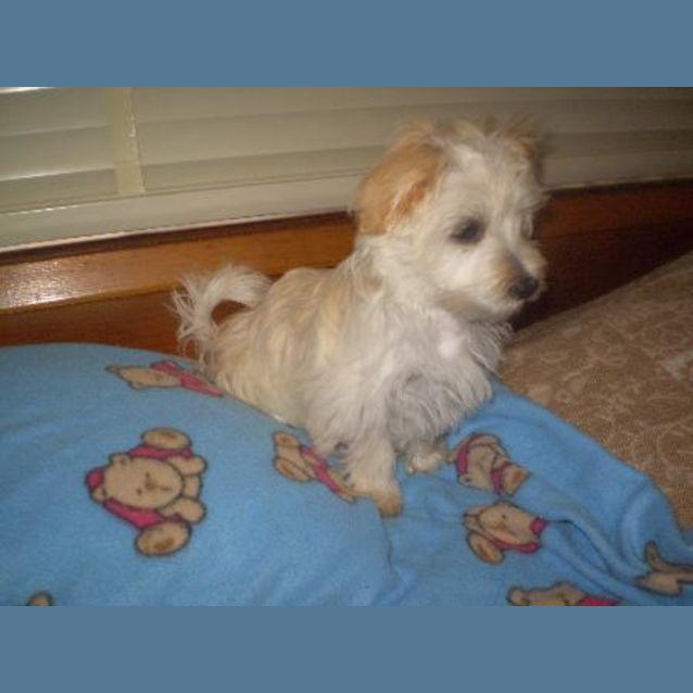 Photo of Benny