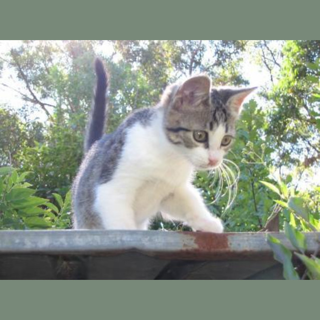 Photo of Tabitha