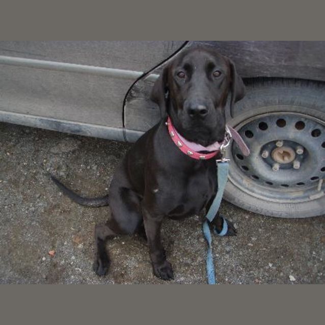 Photo of Penny
