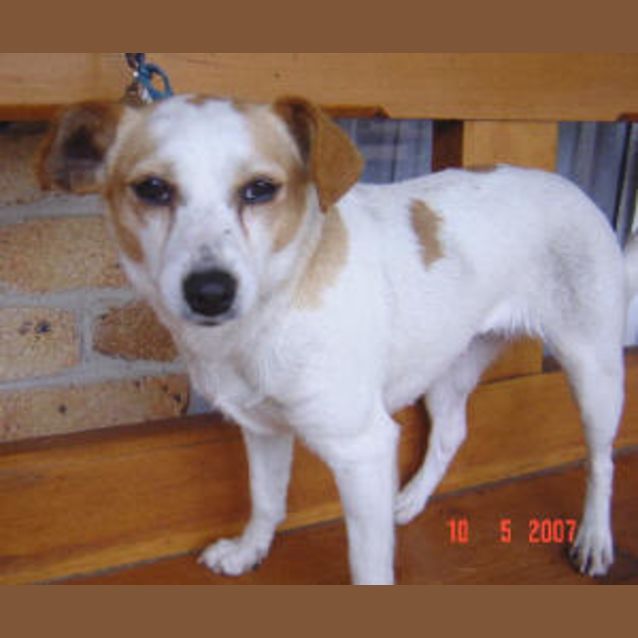 Photo of Mirabel