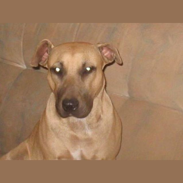 Photo of Honey Only Has Till Wednesday 29/5/07