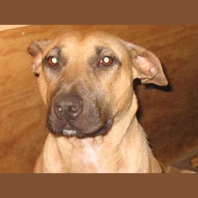 Photo of Honey Only Has Till Wednesday 29/5/07