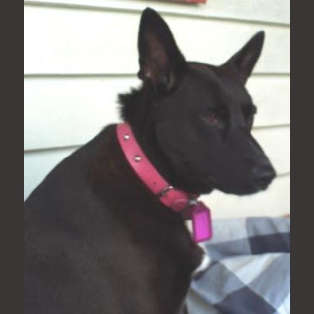 Photo of **On Trial** Lady