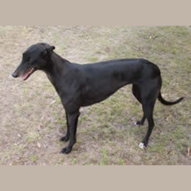 Photo of Betty