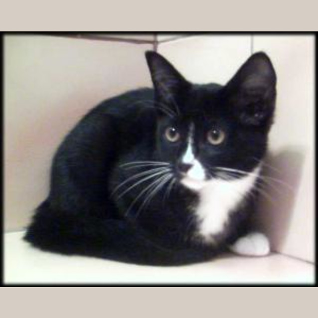 Photo of Rosie Baby