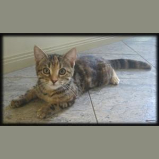Photo of Gina