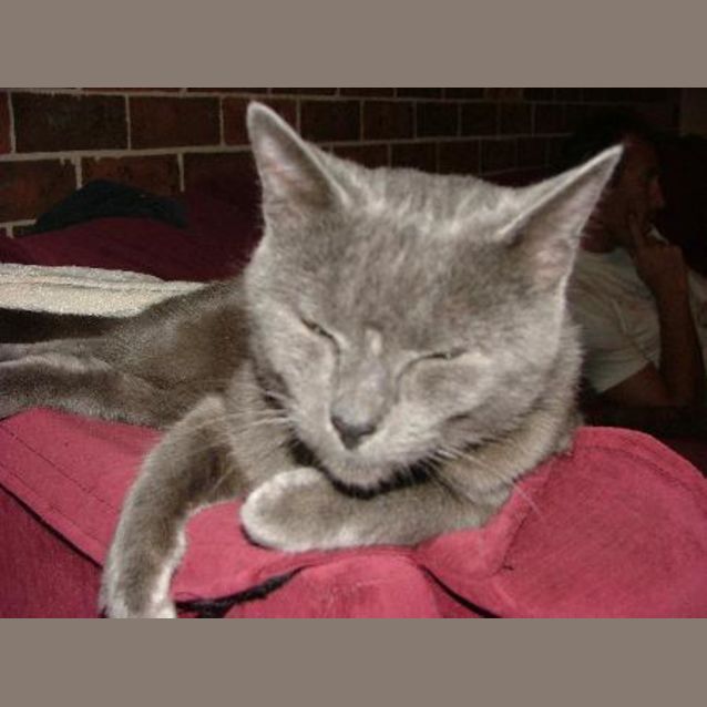 Photo of Grace **On Hold**