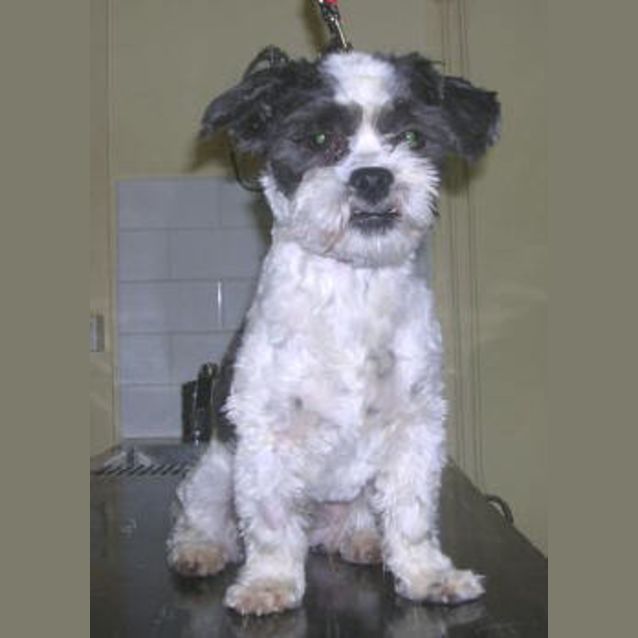Photo of Wally