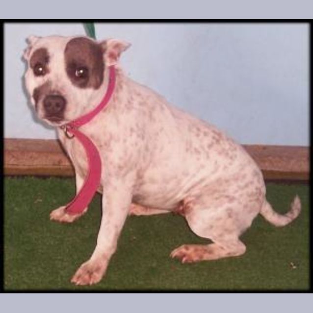 Photo of Bonnie