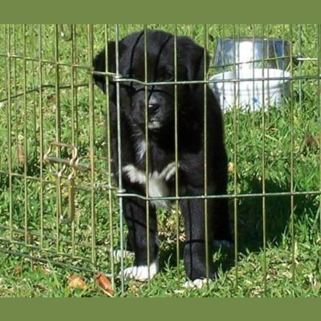 Photo of Hope Is On Hold