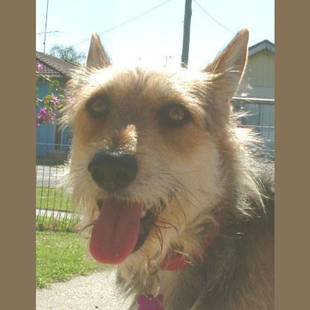 Photo of Mike Murphy