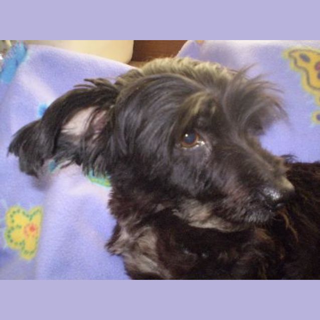 Photo of Sally