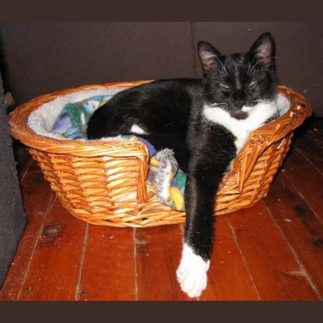 Photo of Miss Personality Plus