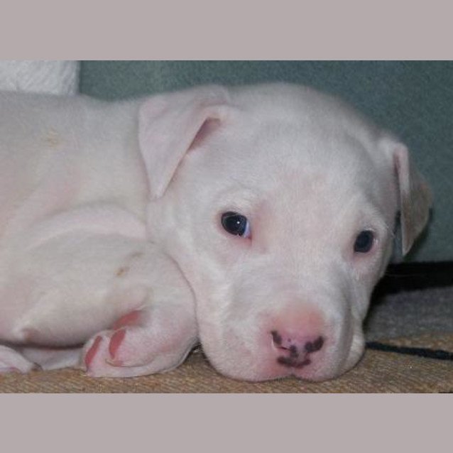 Photo of Trevor On Hold