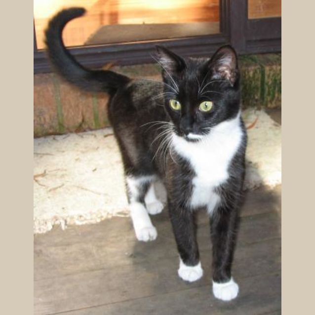 Photo of Miss Personality Plus