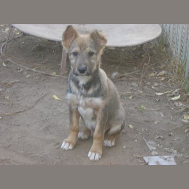 Photo of Harrington Is On Hold