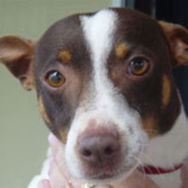 Photo of Ernie