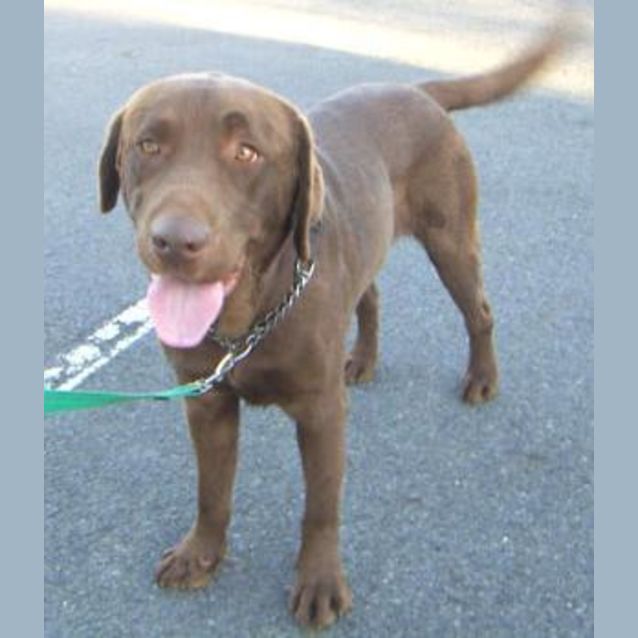 Photo of Marley