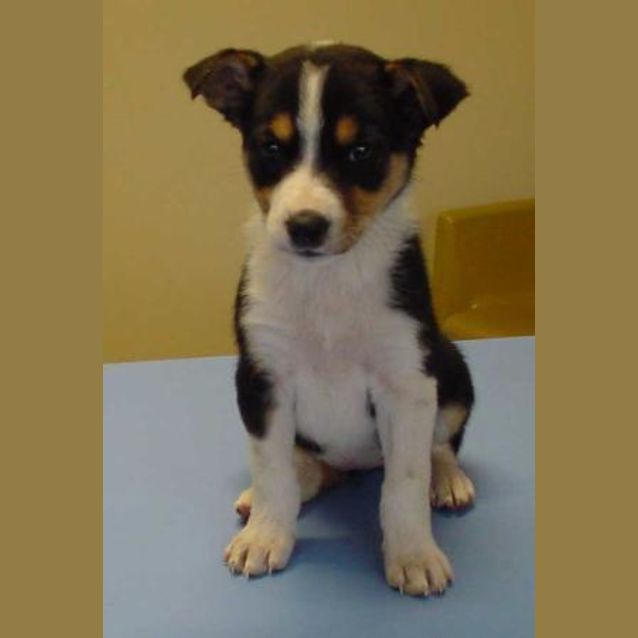 Photo of Xena