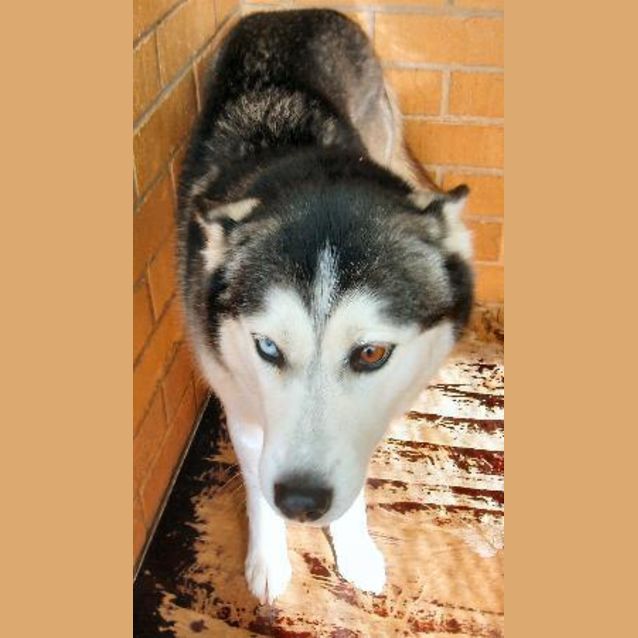 Photo of Nakita
